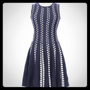 Anthropologie/ John & Jenn Fit and Flare Dress